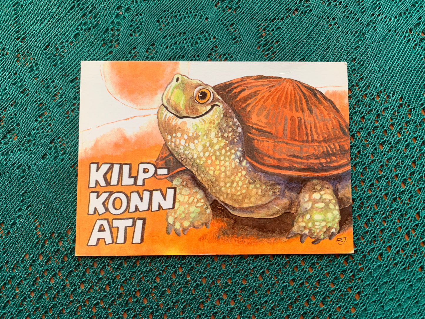 Estonian art postcard - Artist Raivo Järvi - Turtle Ati - 1981 - unused