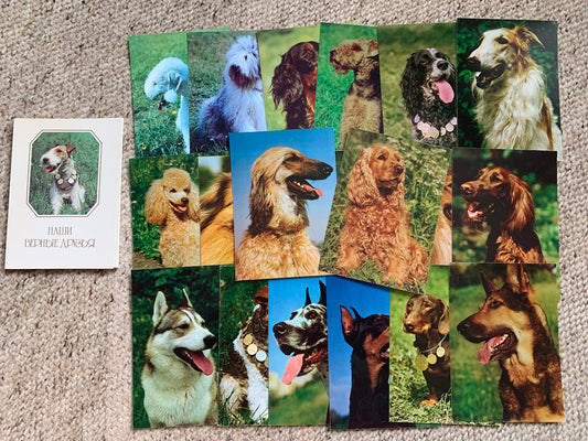 Set of 20 Dog postcards - OUR FAITHFUL FRIENDS - Printed in USSR - 1987 - unused