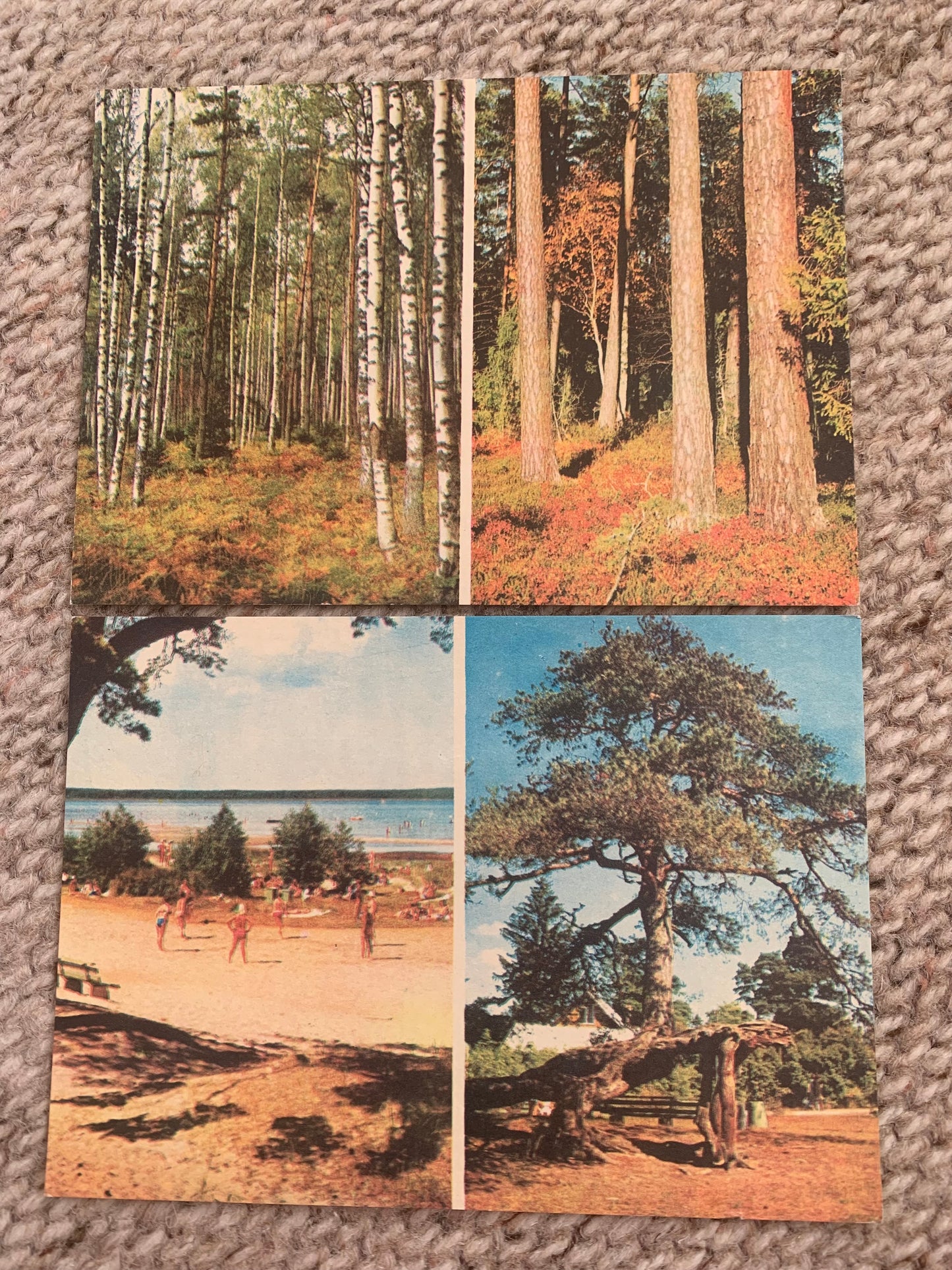 Soviet-time postcard set for collecting - Lahemaa National Park in Estonia - 1978 - unused 15 postcards