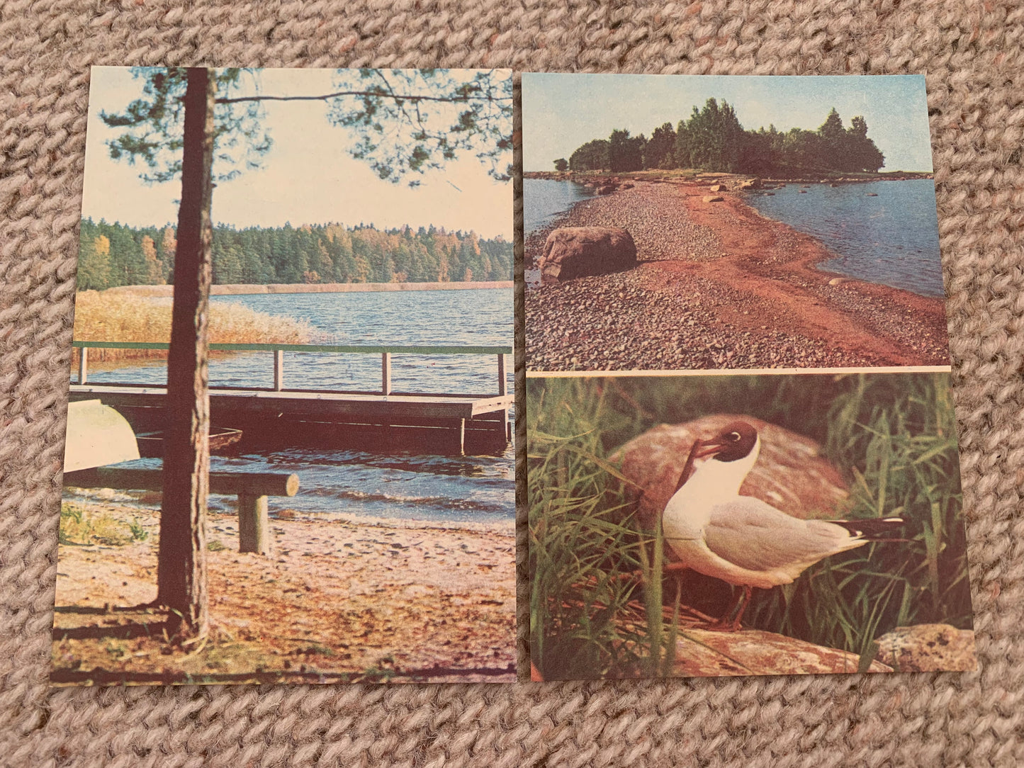 Soviet-time postcard set for collecting - Lahemaa National Park in Estonia - 1978 - unused 15 postcards