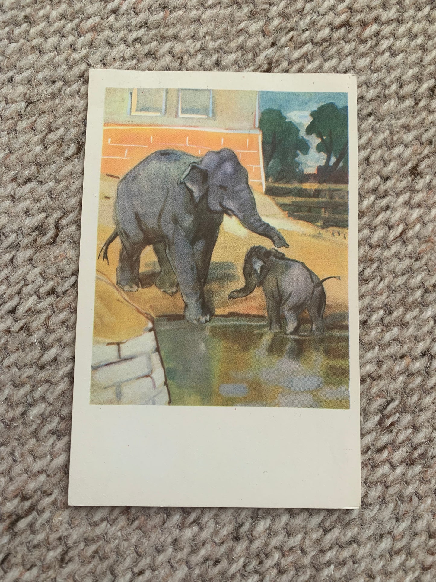 Russian art postcard - Artists N. Stroganova, M. Alekseev - Elephants - Animal postcard - Printed in USSR - 1969 - unused