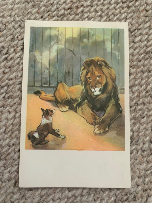 Russian art postcard - Artists N. Stroganova, M. Alekseev - Lion Dog - Animal postcard - Printed in USSR - 1969 - unused