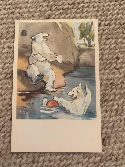 Russian art postcard - Artists N. Stroganova, M. Alekseev - Polar Bears - Animal postcard - Printed in USSR - 1969 - unused