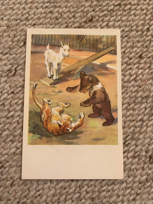 Russian art postcard - Artists N. Stroganova, M. Alekseev - Bear Goat Leopard - Animal postcard - Printed in USSR - 1969 - unused