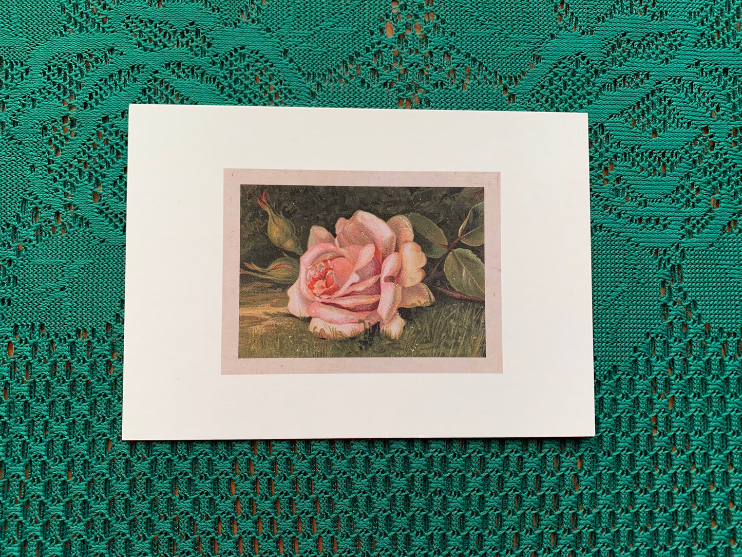 Finnish art postcard with rose - Printed in Finland - Greeting card, collectible postcard - Flowers - unused