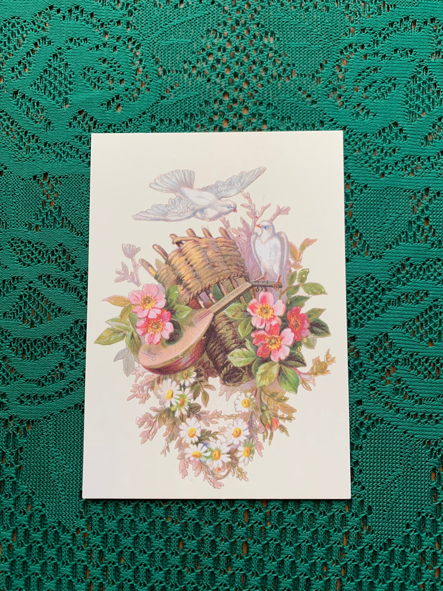 Finnish art postcard - Printed in Finland - Greeting card, collectible postcard - Flowers - unused