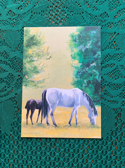 Finnish art postcard with horses - Printed in Finland - Greeting card, collectible postcard - unused