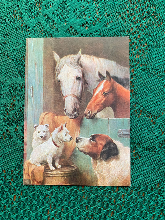 Finnish art postcard with horses - Printed in Finland - Greeting card, collectible postcard - unused