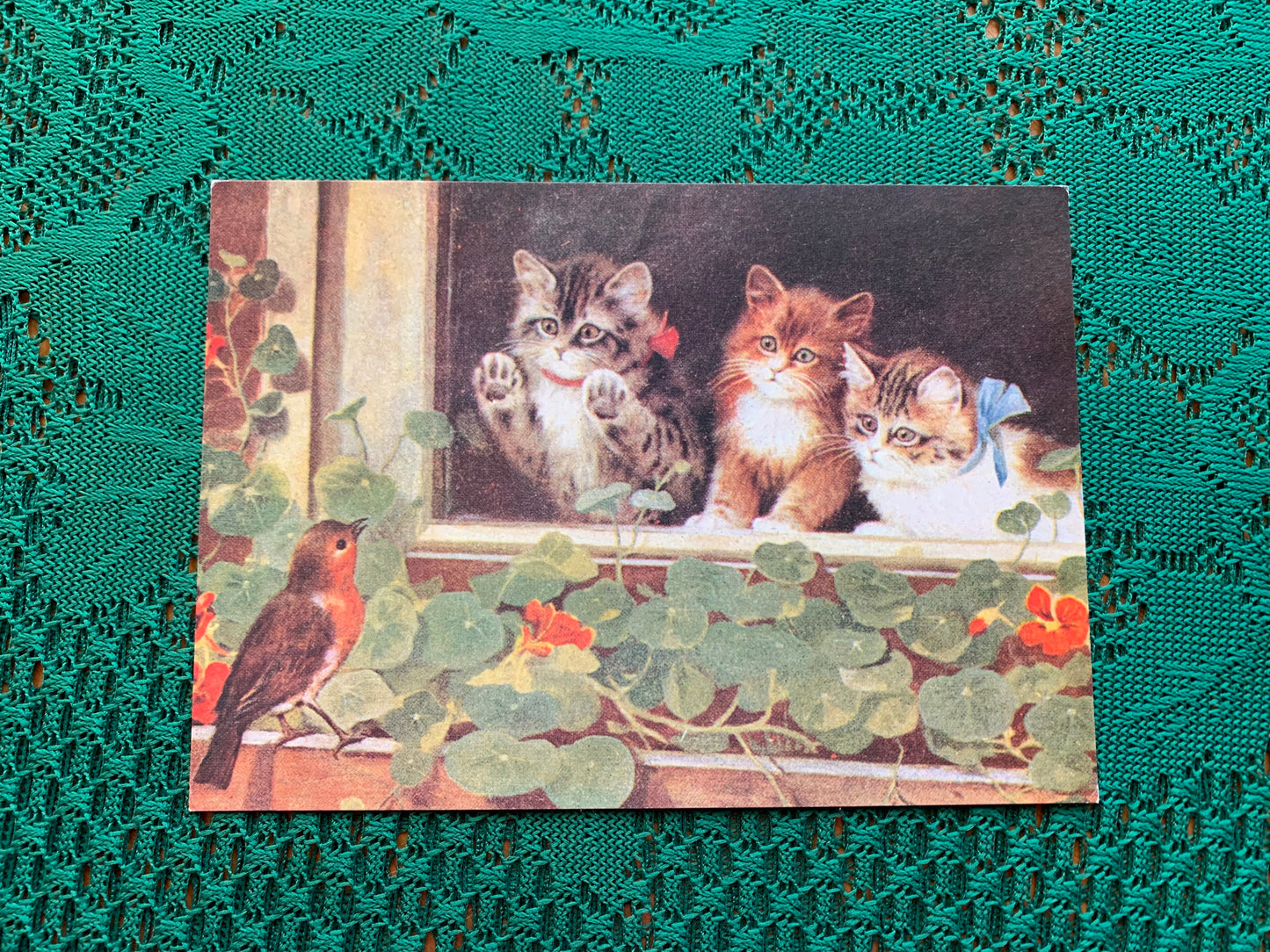 Finnish art postcard with cats - Printed in Finland - Greeting card, collectible postcard - unused