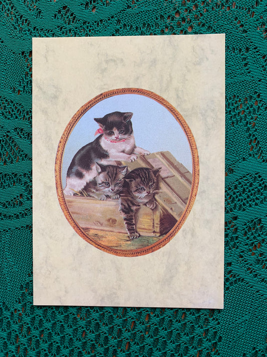 Finnish art postcard with cats - Printed in Finland - Greeting card, collectible postcard - unused