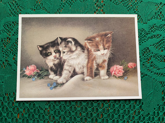 Finnish art postcard with cats - Printed in Finland - Greeting card, collectible postcard - unused