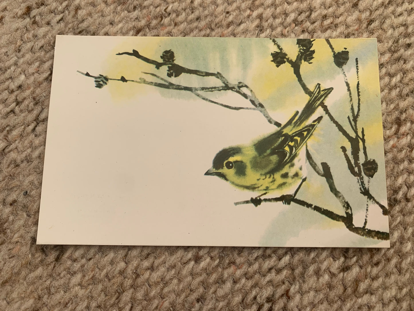 Russian art postcard - Bird postcard - Eurasian siskin - Artist V. Kanevsky - Printed in USSR - 1977 - unused