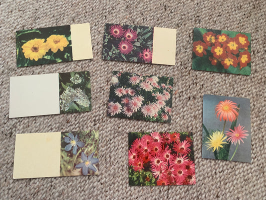 8 small Estonian FLOWER / FLORAL postcards - Printed in USSR - 1968 and 1974 - unused