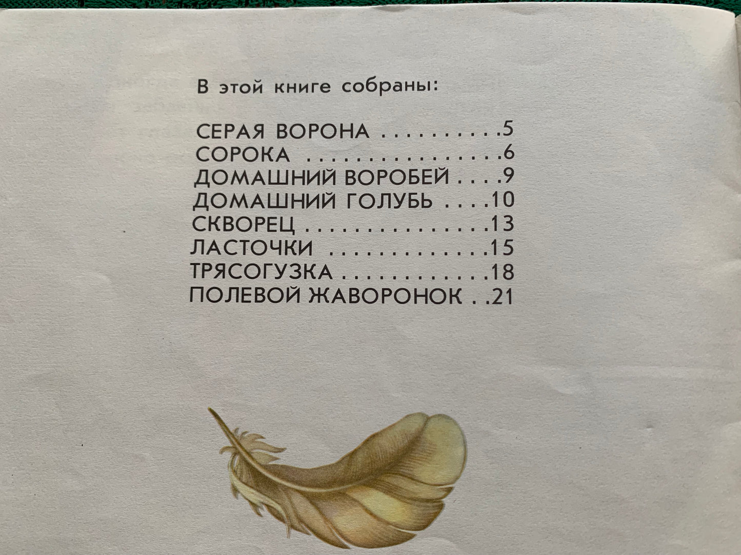 Vintage Estonian Children's Book in Russian - BIRDS - Rein Saluri - 1986