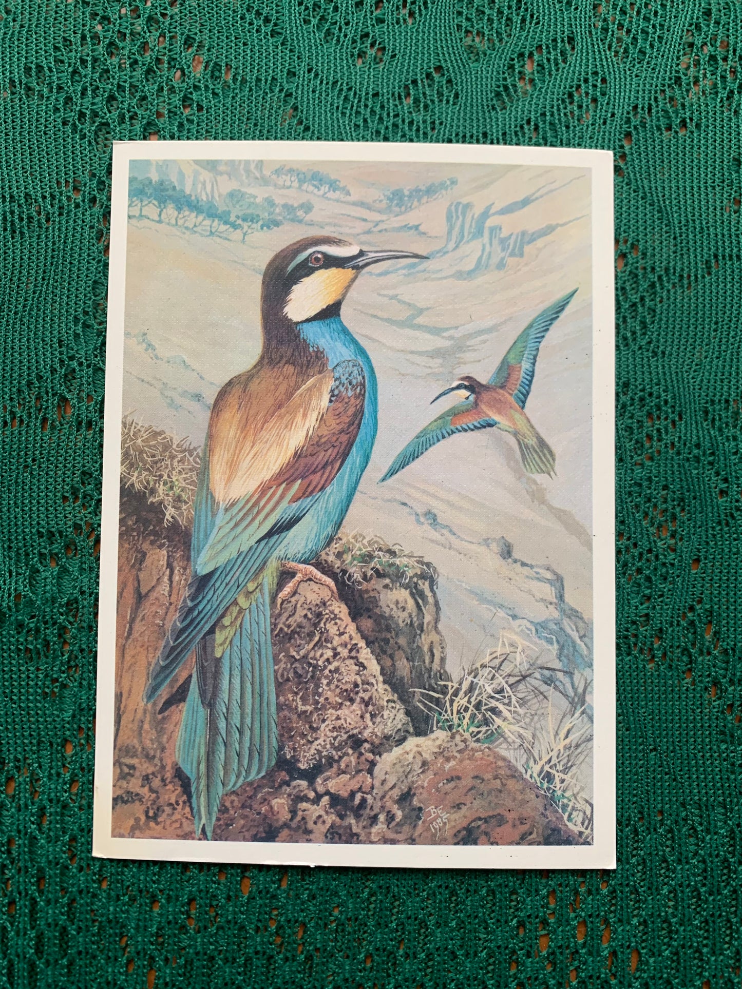 Russian art postcard - Bird postcard - EUROPEAN BEE-EATER - Artist V.Egorov - Printed in USSR - 1987 - unused