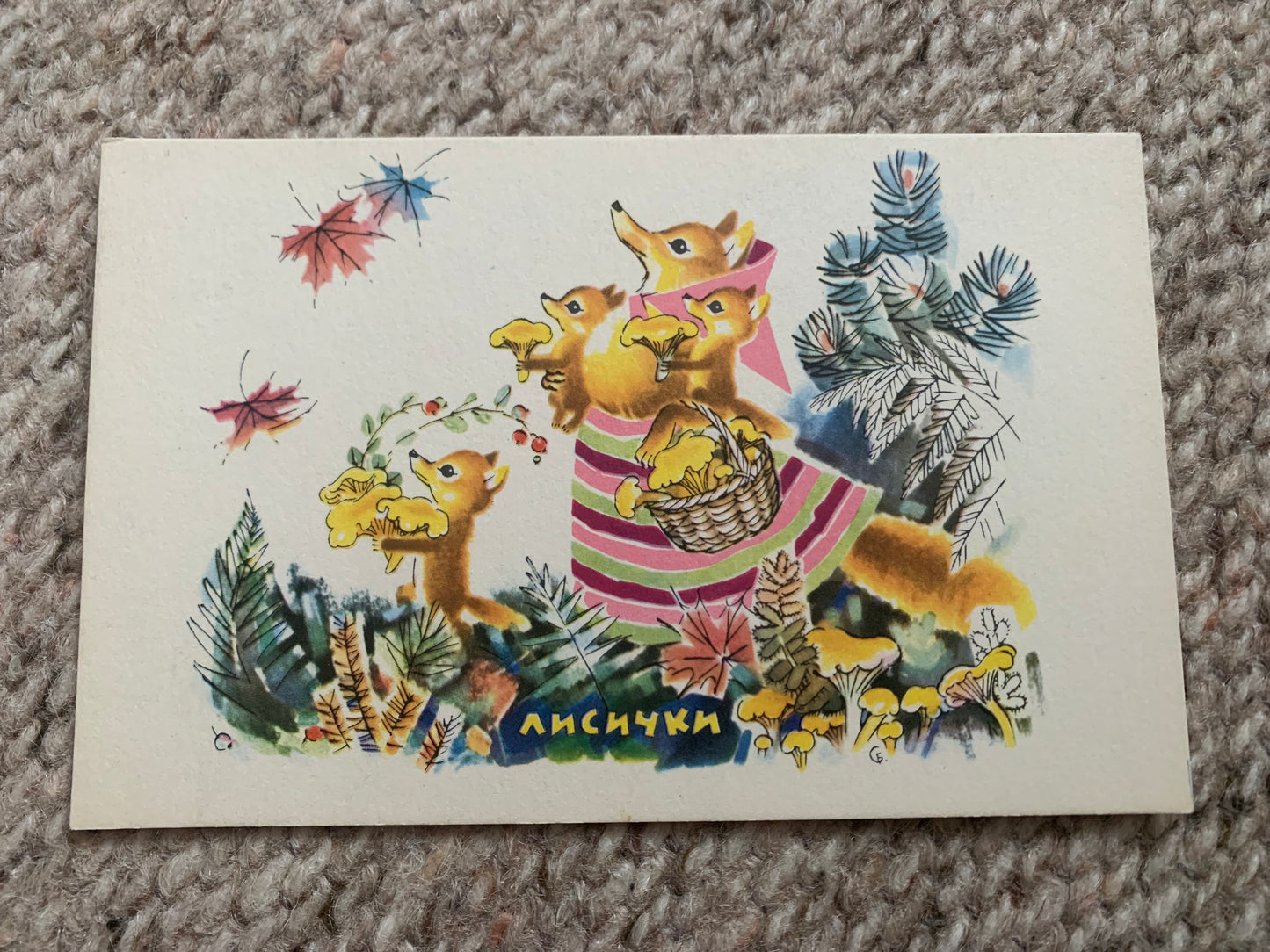 Russian art postcard - Artist S.Byalkovskaya - Chanterelles - Foxes - Animal postcard - Printed in USSR - 1968 - unused