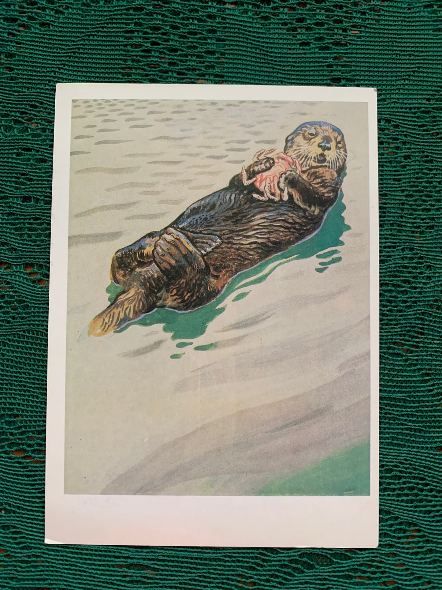 Russian art postcard - Artist V.Gorbatov - Sea otter (Enhydra lutris) - Animal postcard - Printed in USSR - 1990 - unused