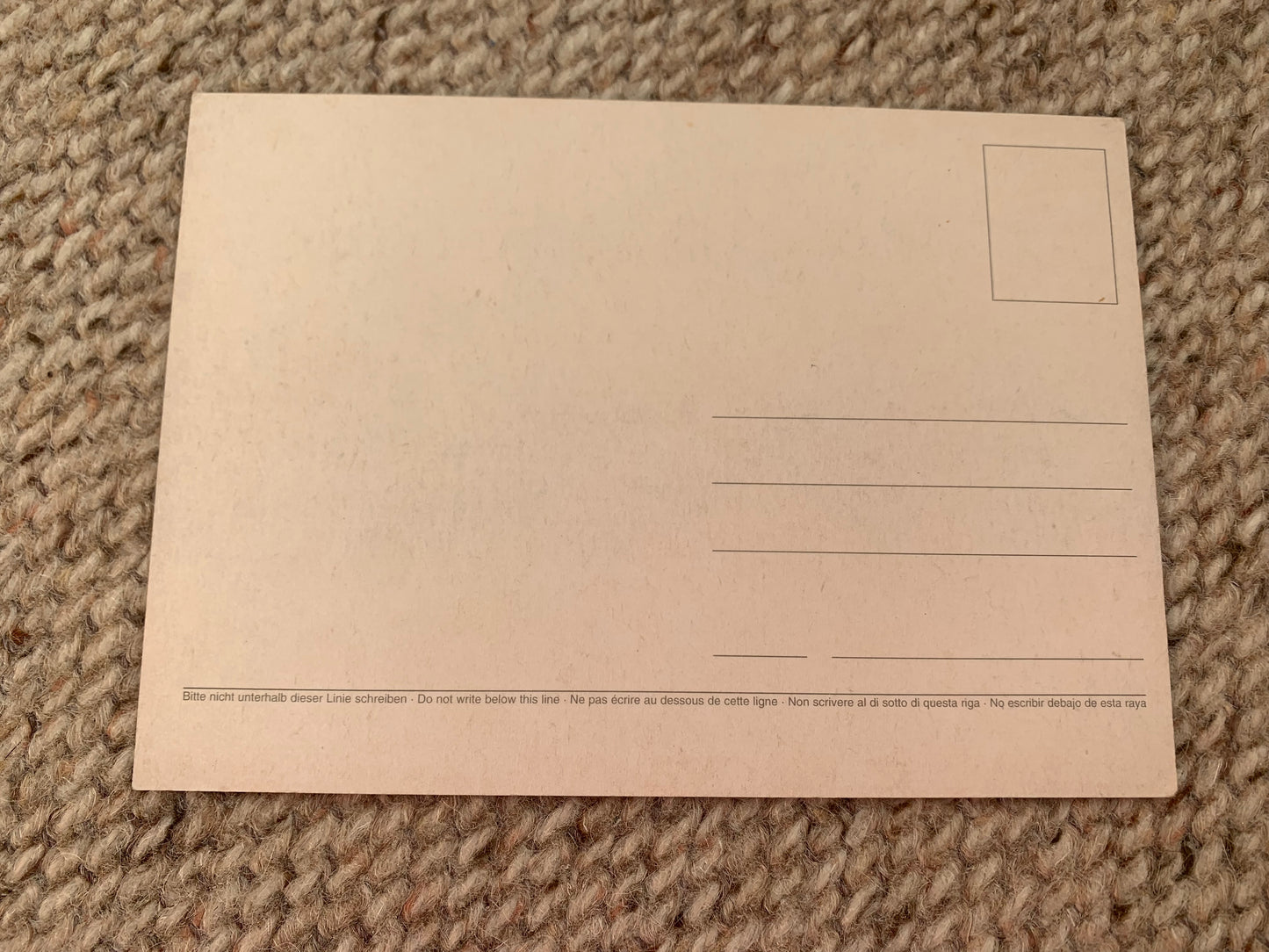 CAT postcard - Collectible card - 1990s - unused