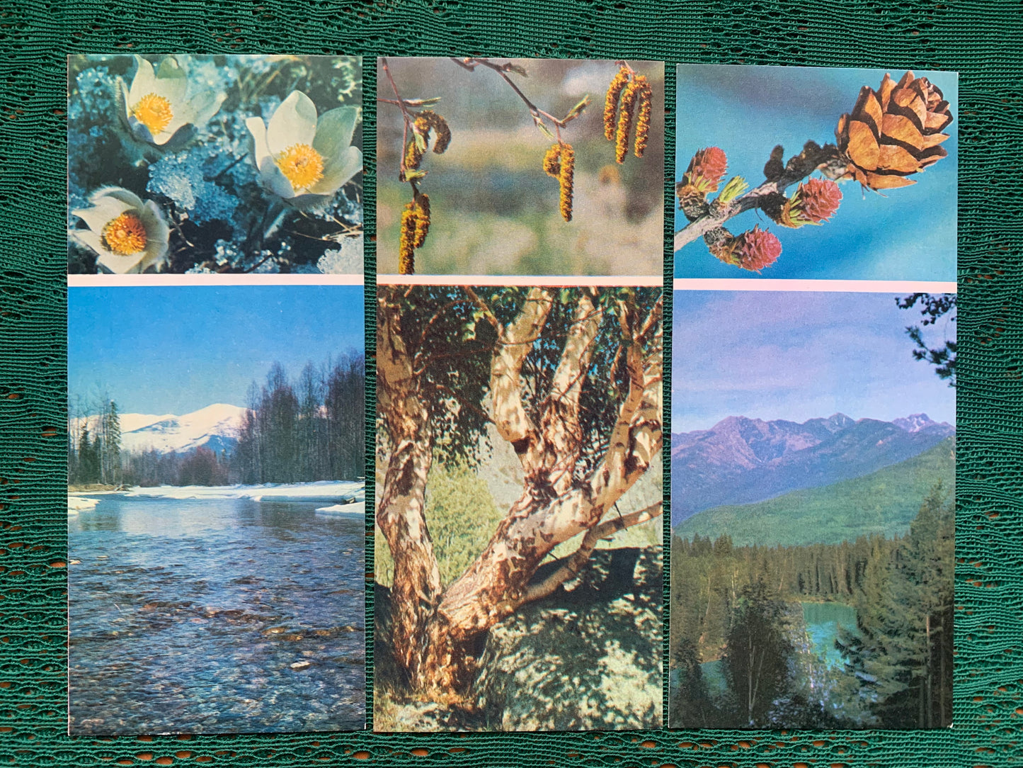 Soviet-time postcard set for collecting - SIBERIA BLOOMS - 1973 - unused 15 postcards