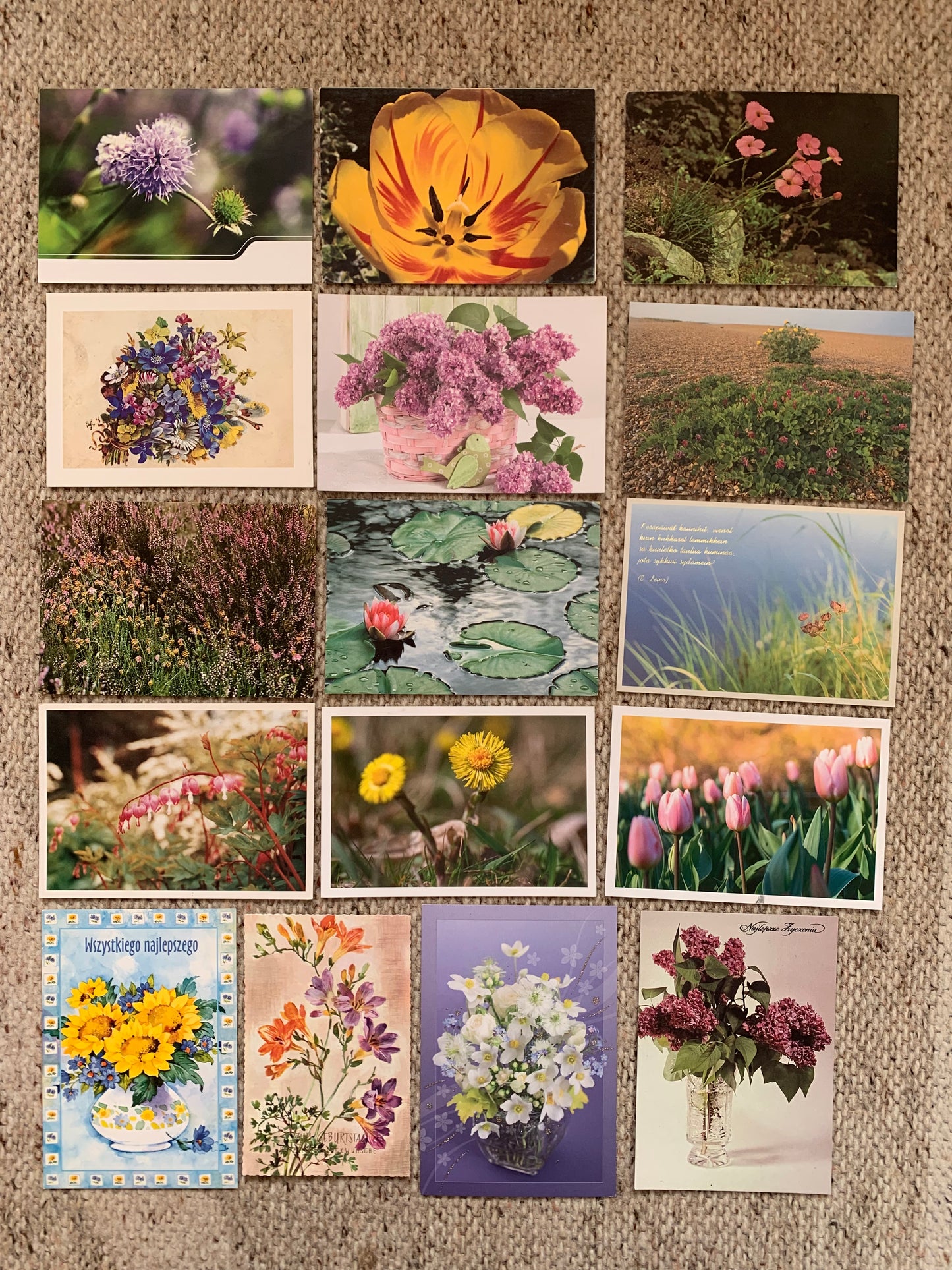16 Unused FLOWER / FLORAL postcards - Printed in different countries - 2000s
