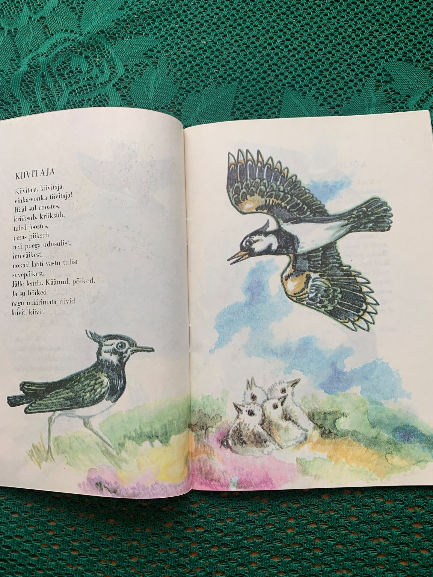 Vintage Children's Book in Estonian - SINIKUUBE SIRGUKE - Lovely illustrations - Printed in USSR - 1981