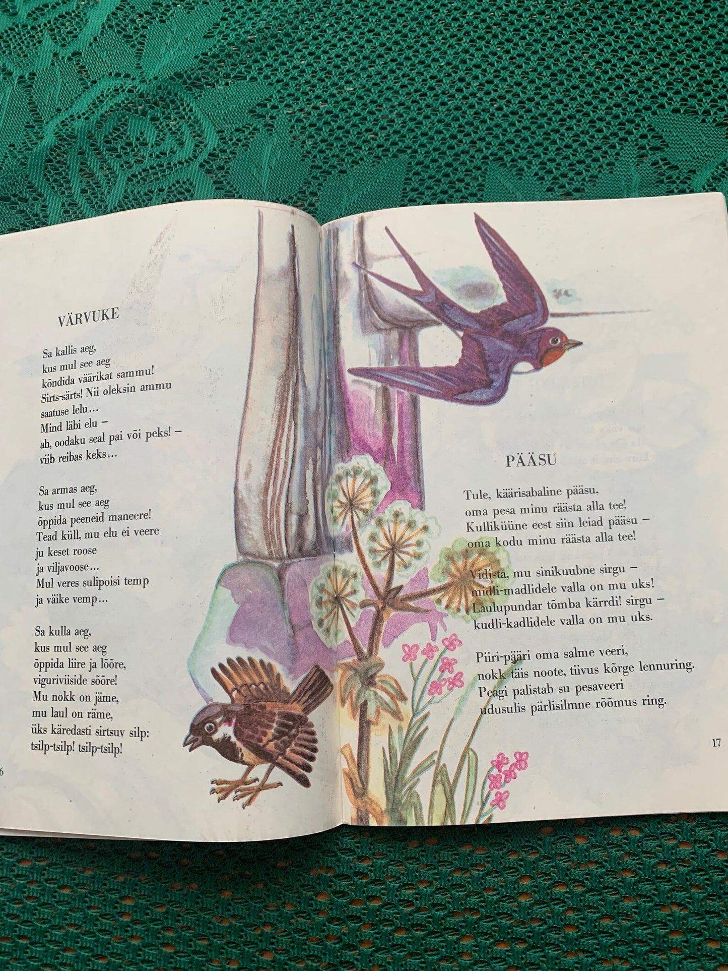 Vintage Children's Book in Estonian - SINIKUUBE SIRGUKE - Lovely illustrations - Printed in USSR - 1981