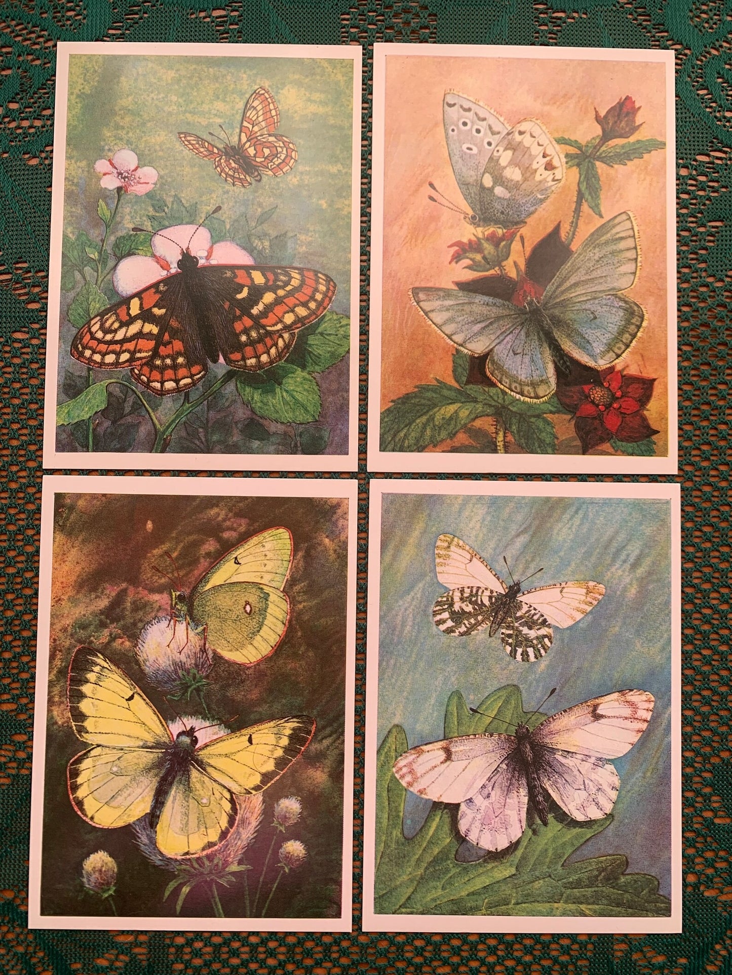 Set of 16 Vintage USSR collectible cards - BUTTERFLIES - Printed in USSR - 1982 - unused