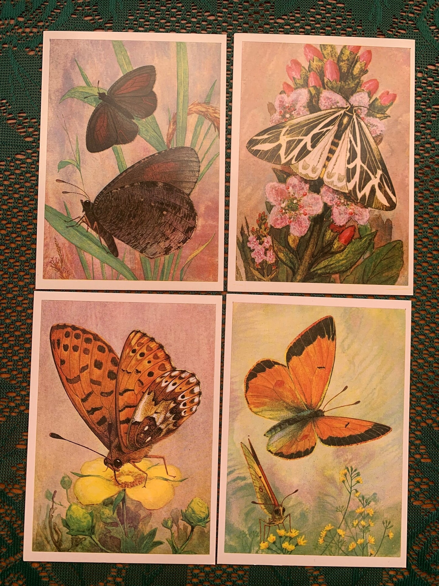 Set of 16 Vintage USSR collectible cards - BUTTERFLIES - Printed in USSR - 1982 - unused