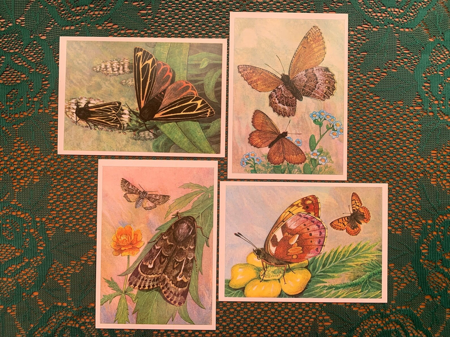 Set of 16 Vintage USSR collectible cards - BUTTERFLIES - Printed in USSR - 1982 - unused